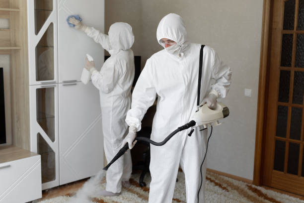 Best Local Mold Removal Service  in Rushville, IN
