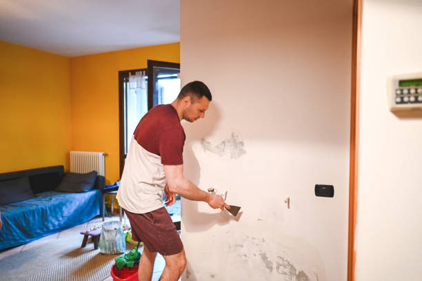 Best Water Damage Restoration  in Rushville, IN
